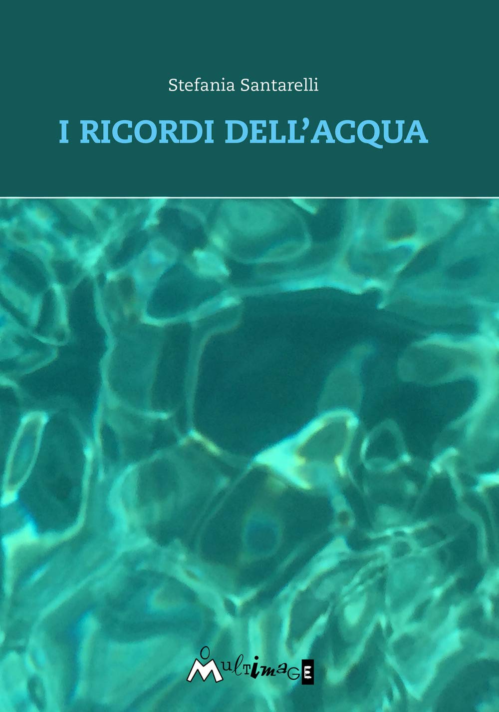 I ricordi dell'acqua book