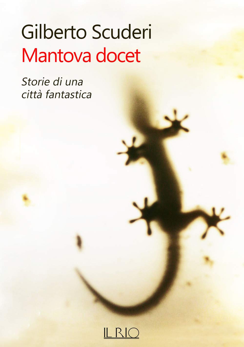 Mantova docet. Storie di una città fantastica book