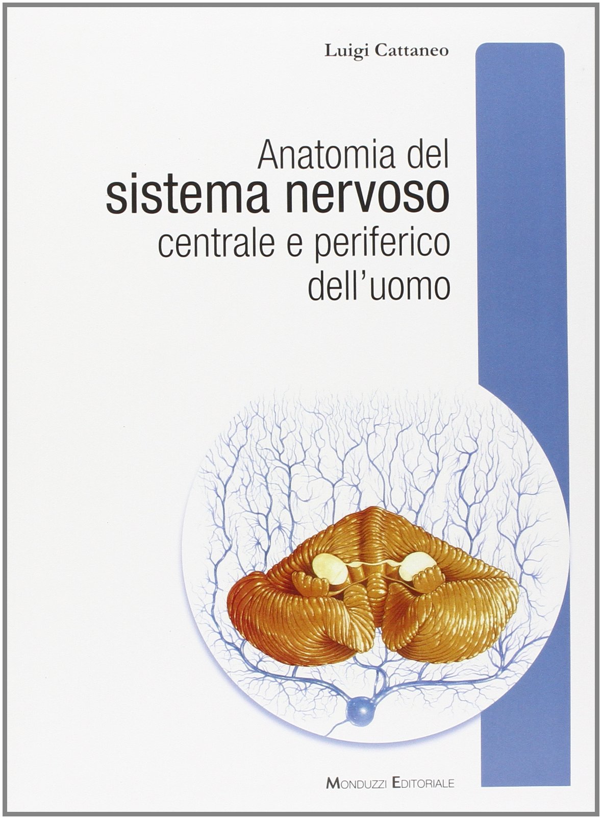 Anatomia Del Sistema Nervoso Centrale E Periferico Dell'uomo book