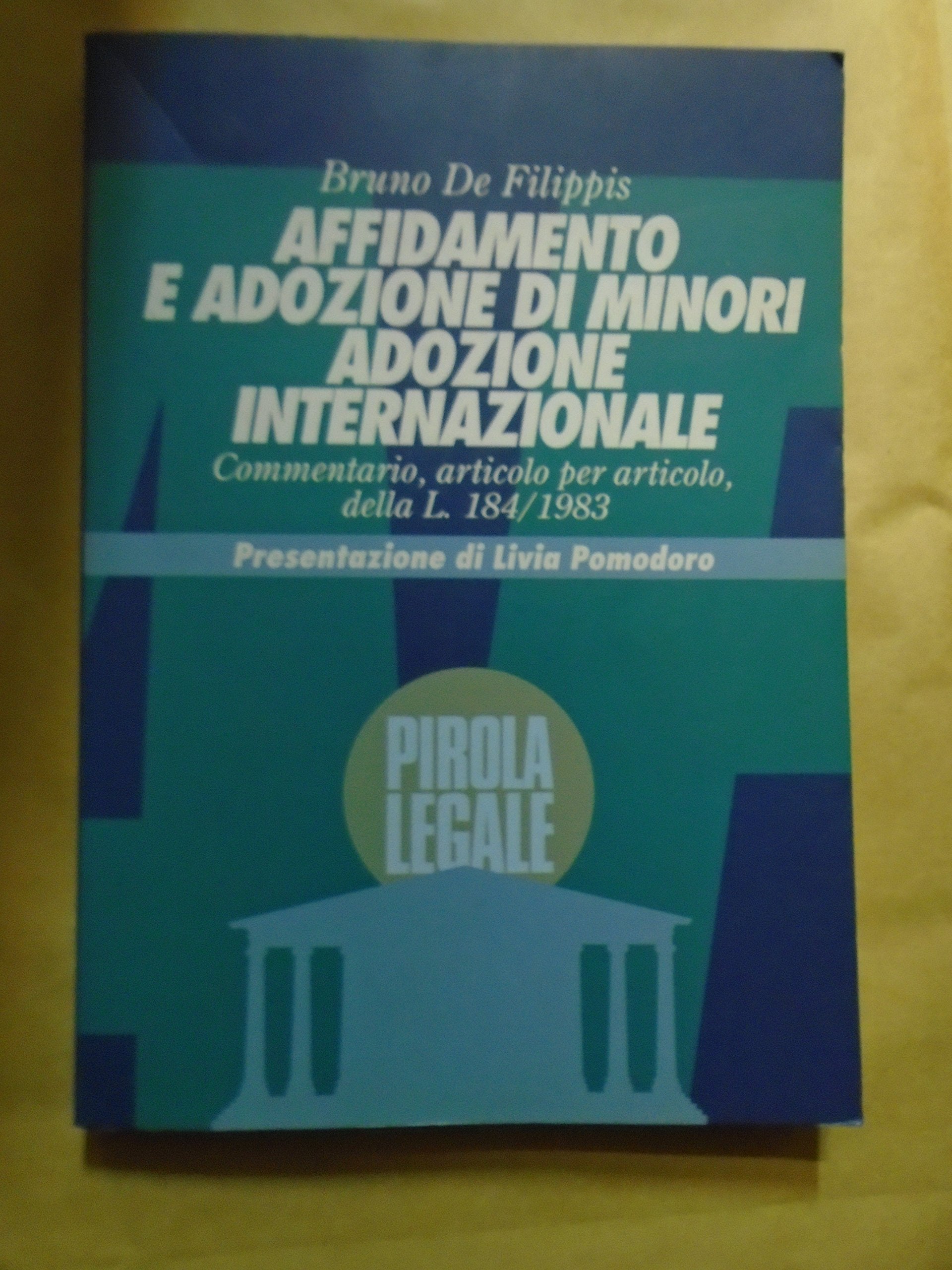 Affidamento e adozione di minori. Adozione internazionale book