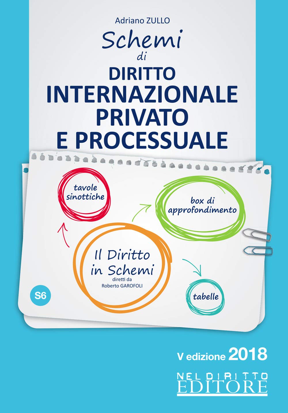 Schemi di diritto internazionale privato e processuale. Con Contenuto digitale per accesso online (Il diritto in schemi) Law