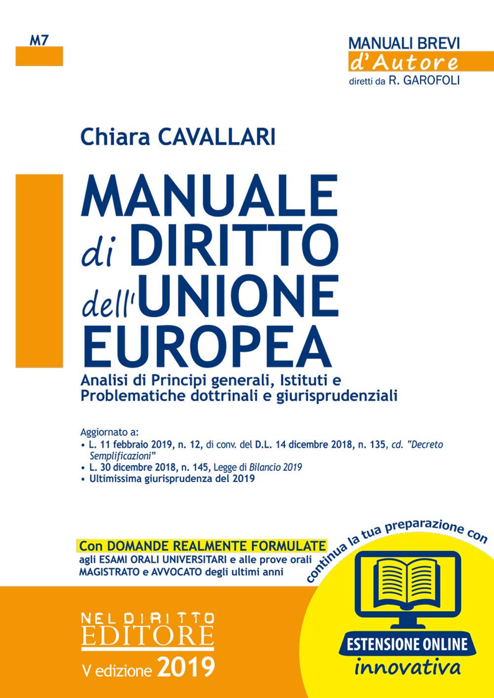 Manuale di diritto dell'Unione Europea. Analisi di principi generali, Istituti e problematiche dottrinali e giurisprudenziali. Con espansione online book