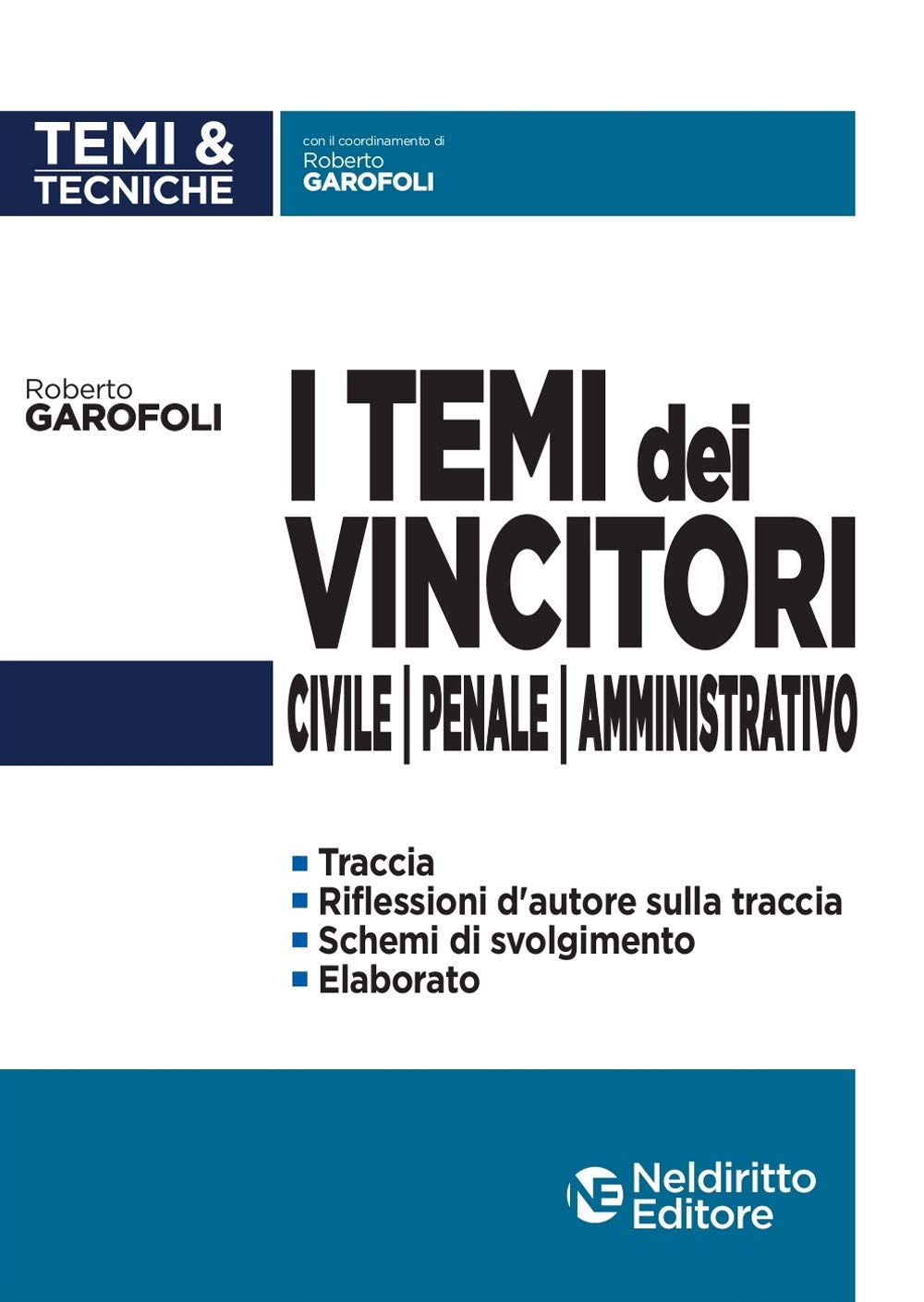I temi dei vincitori. Civile, penale, amministrativo book