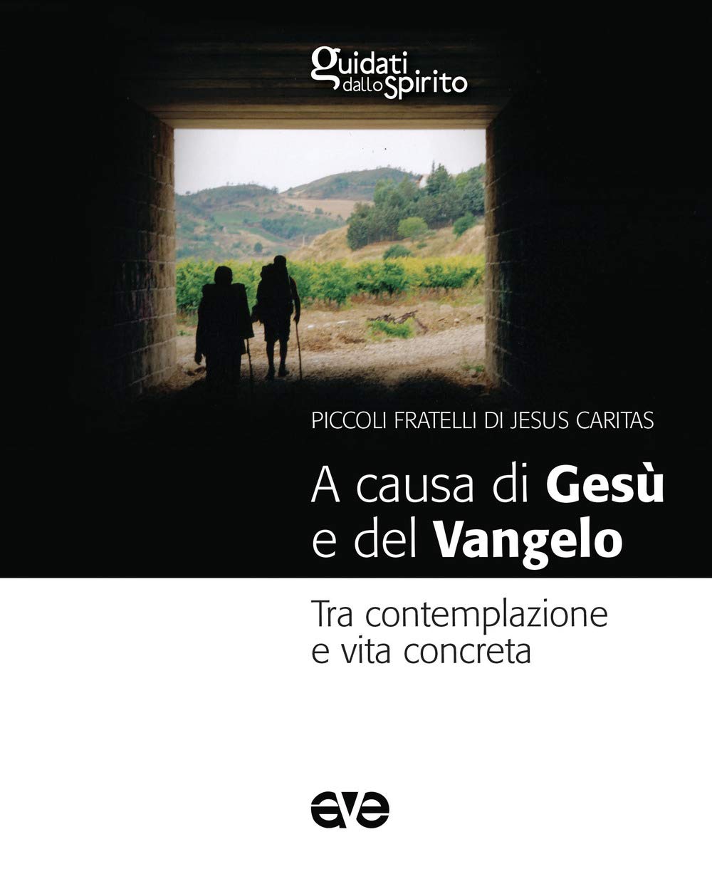 A causa di Gesù e del Vangelo. Tra contemplazione e vita concreta book