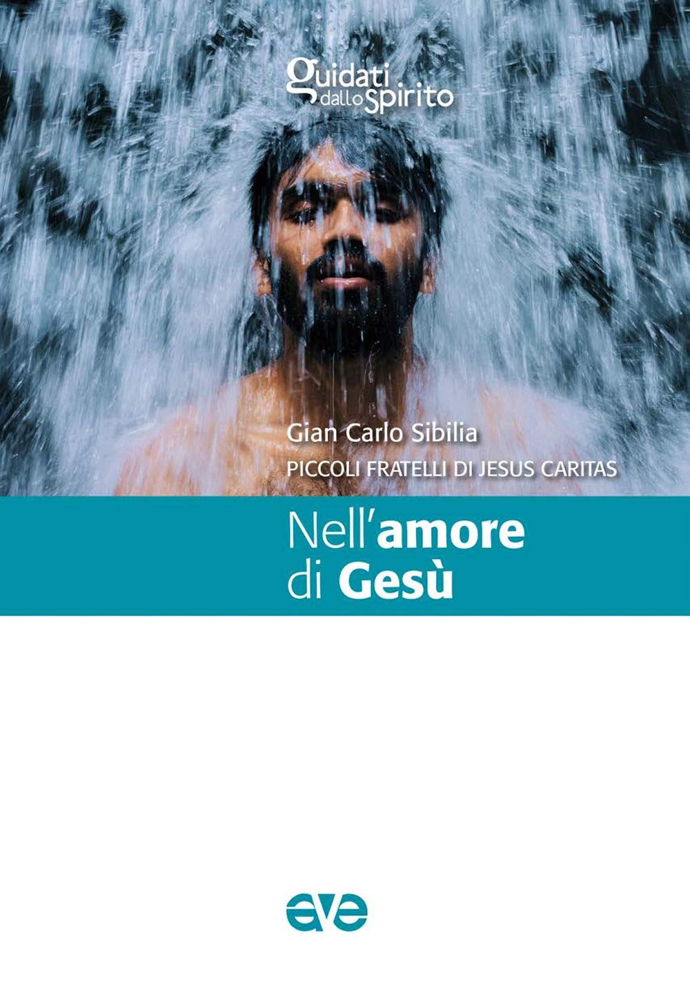Nell'amore di Gesù book