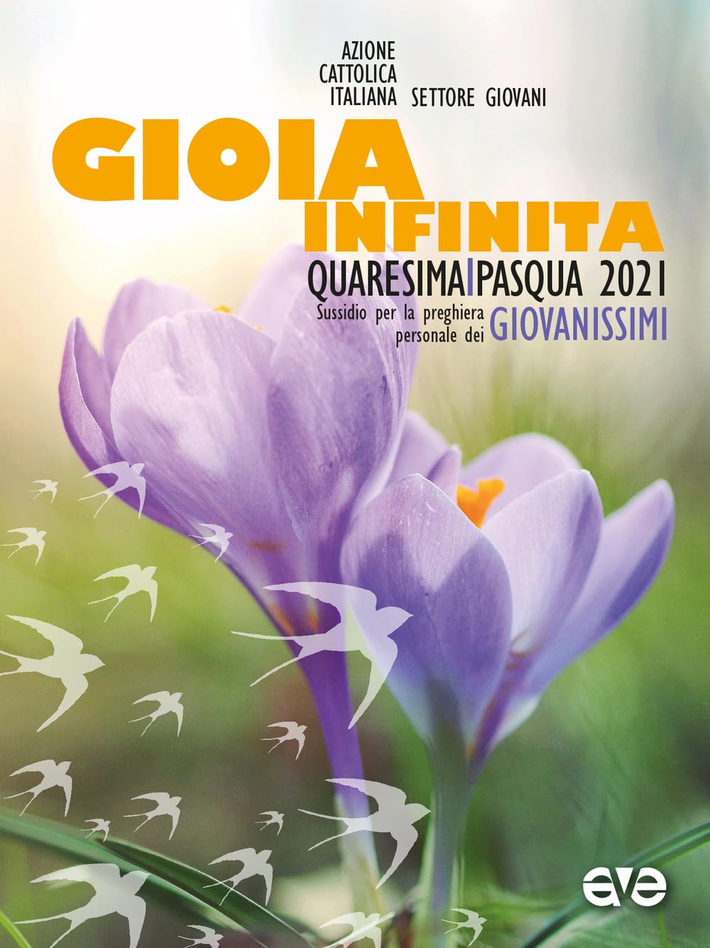 Gioia infinita. Quaresima e Pasqua 2021. Sussidio per la preghiera personale dei giovanissimi (Riuniti nel mio nome) Religion & Esotericism