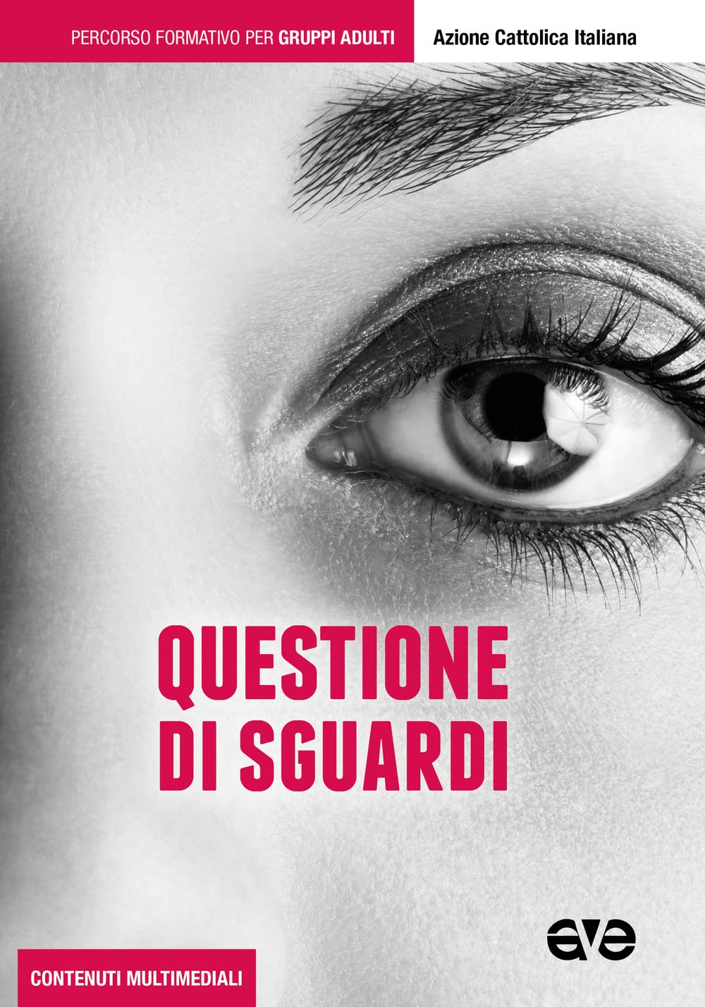 Questione di sguardi. Percorso formativo per gruppi adulti book