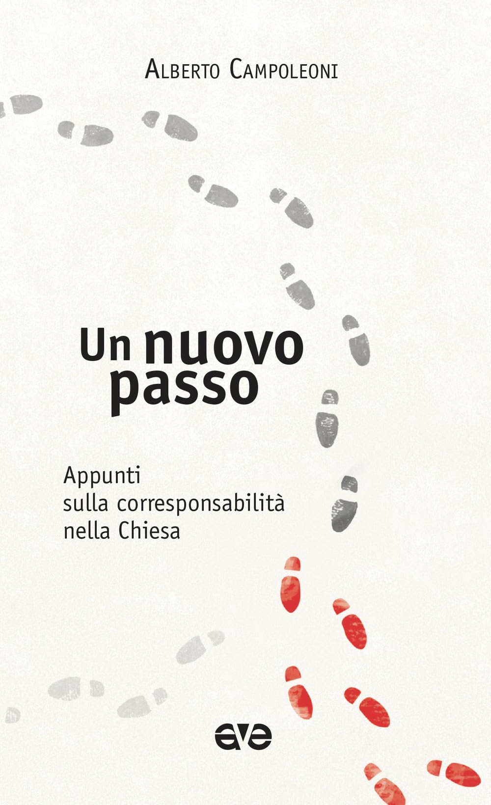 Un nuovo passo. Appunti sulla corresponsabilità nella Chiesa book