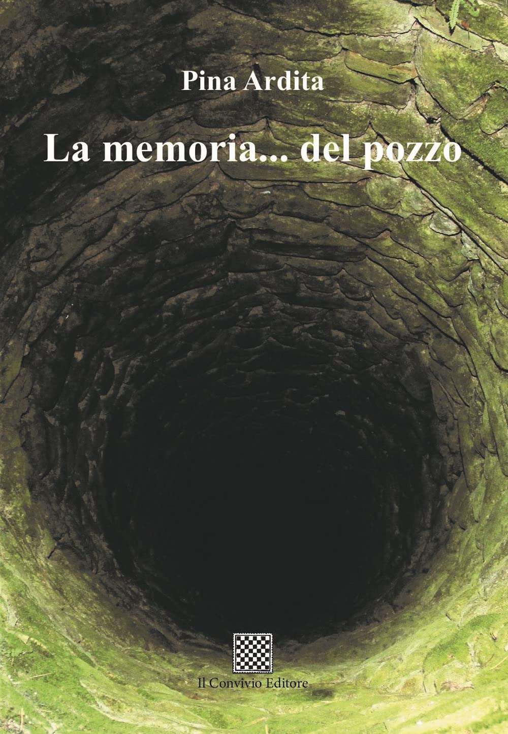 La memoria... del pozzo book