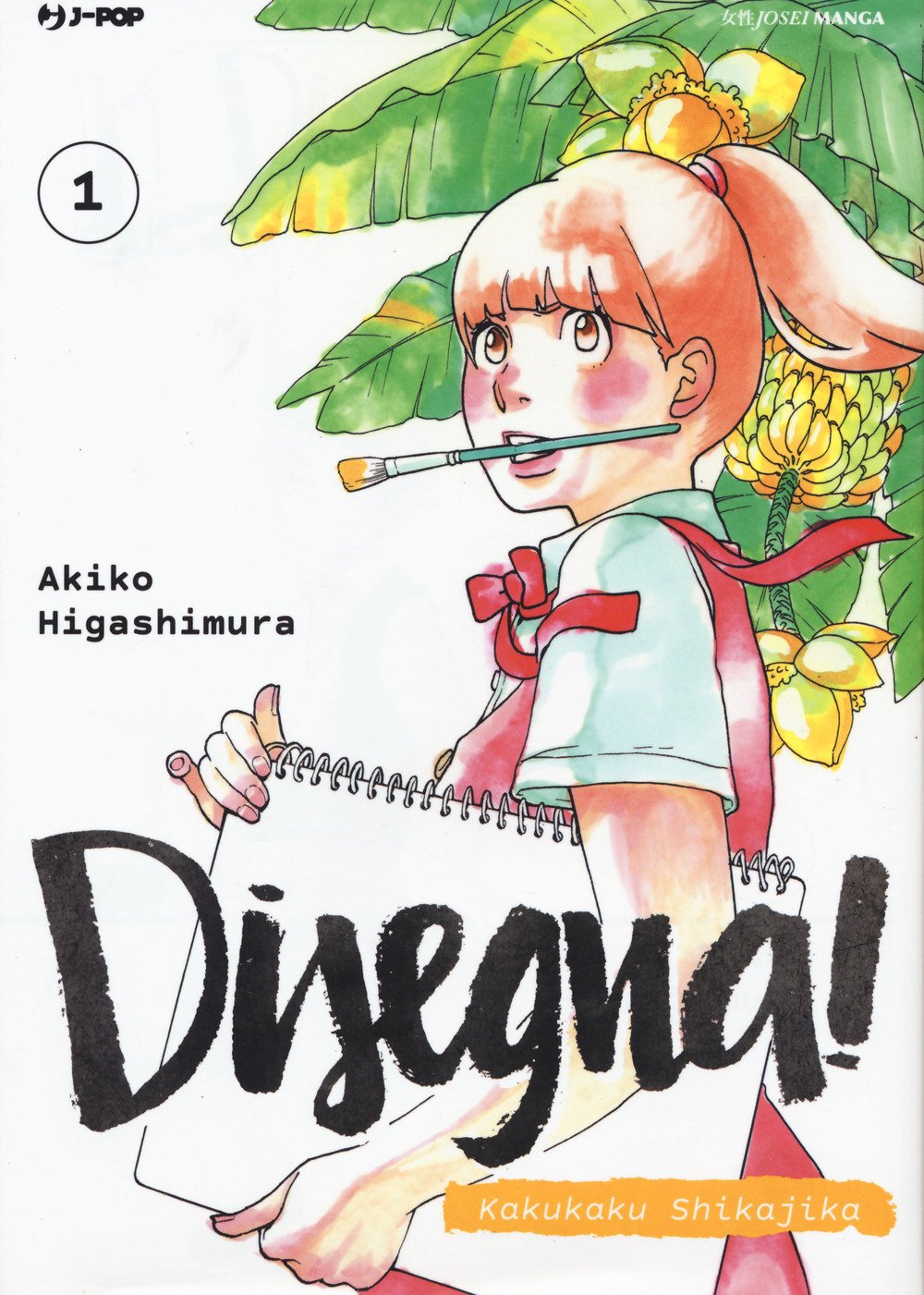 Higashimura, A: Disegna! Kakukaku Shikajika Art & Literature