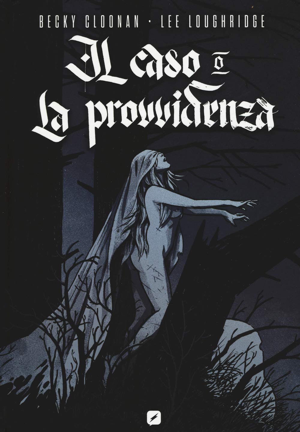 Il caso o la provvidenza book
