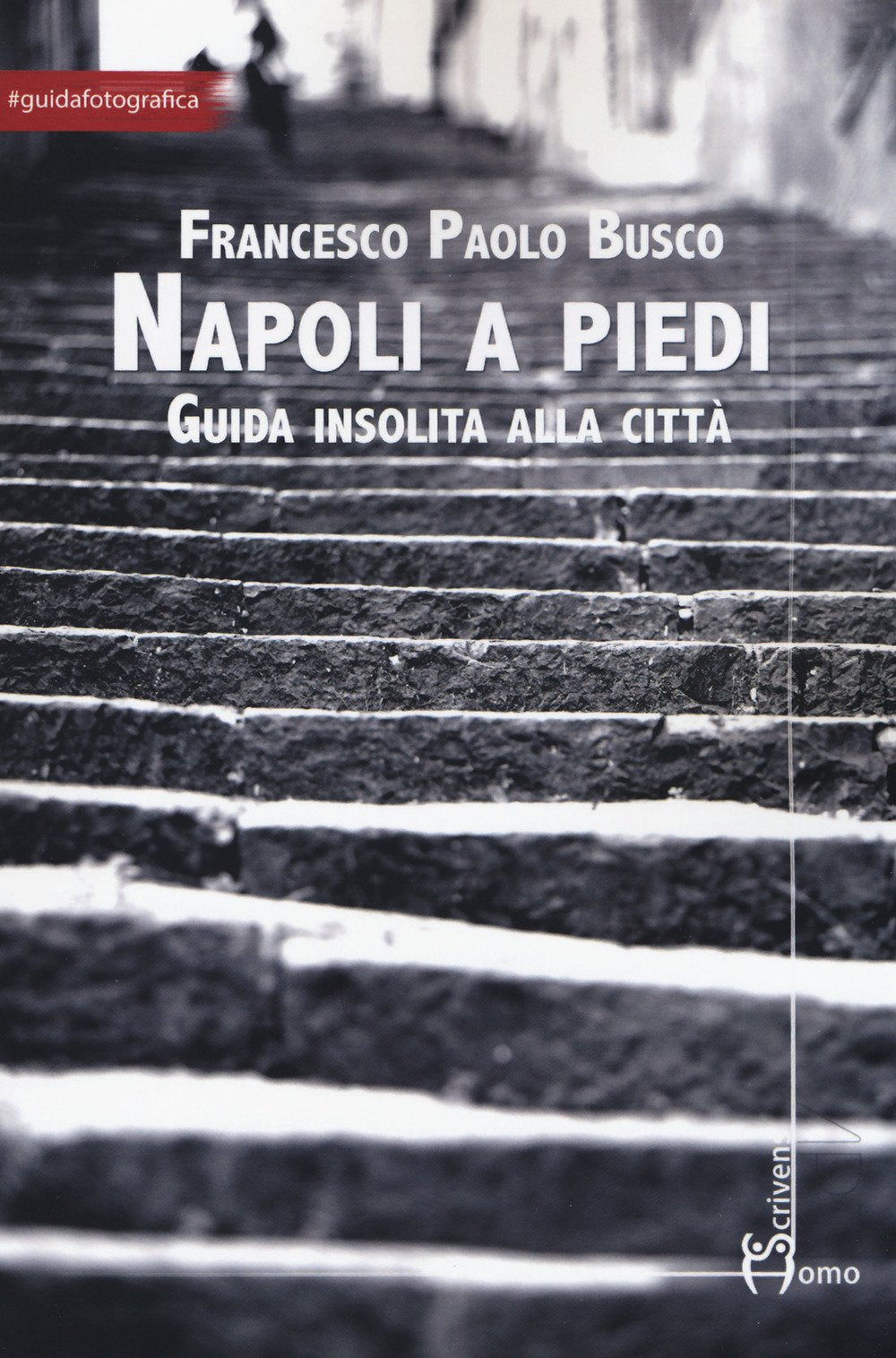 Napoli a piedi. Guida insolita alla città (Arti) Leisure, Home & Garden