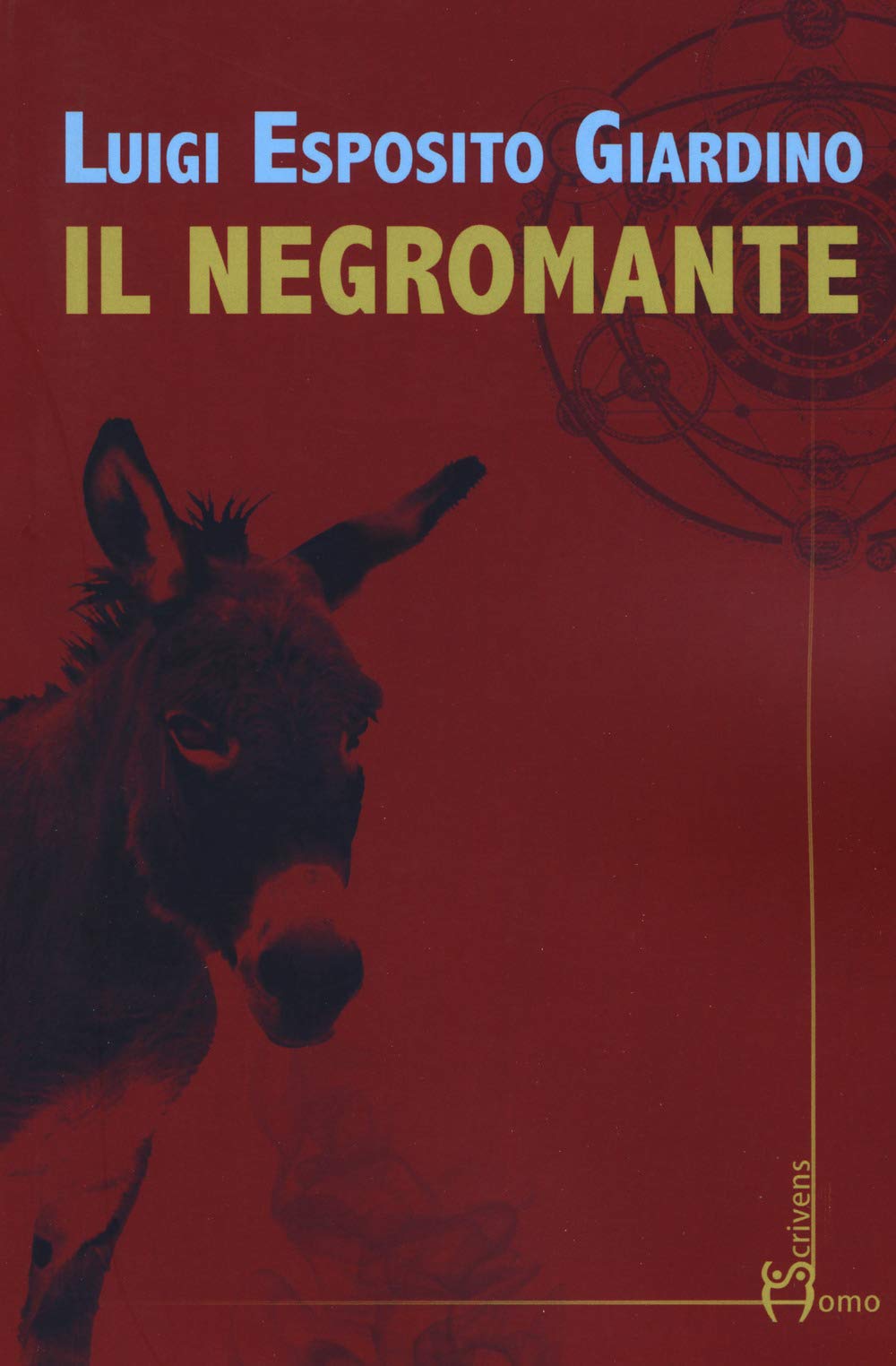 Il negromante (Direzioni immaginarie) Contemporary literature