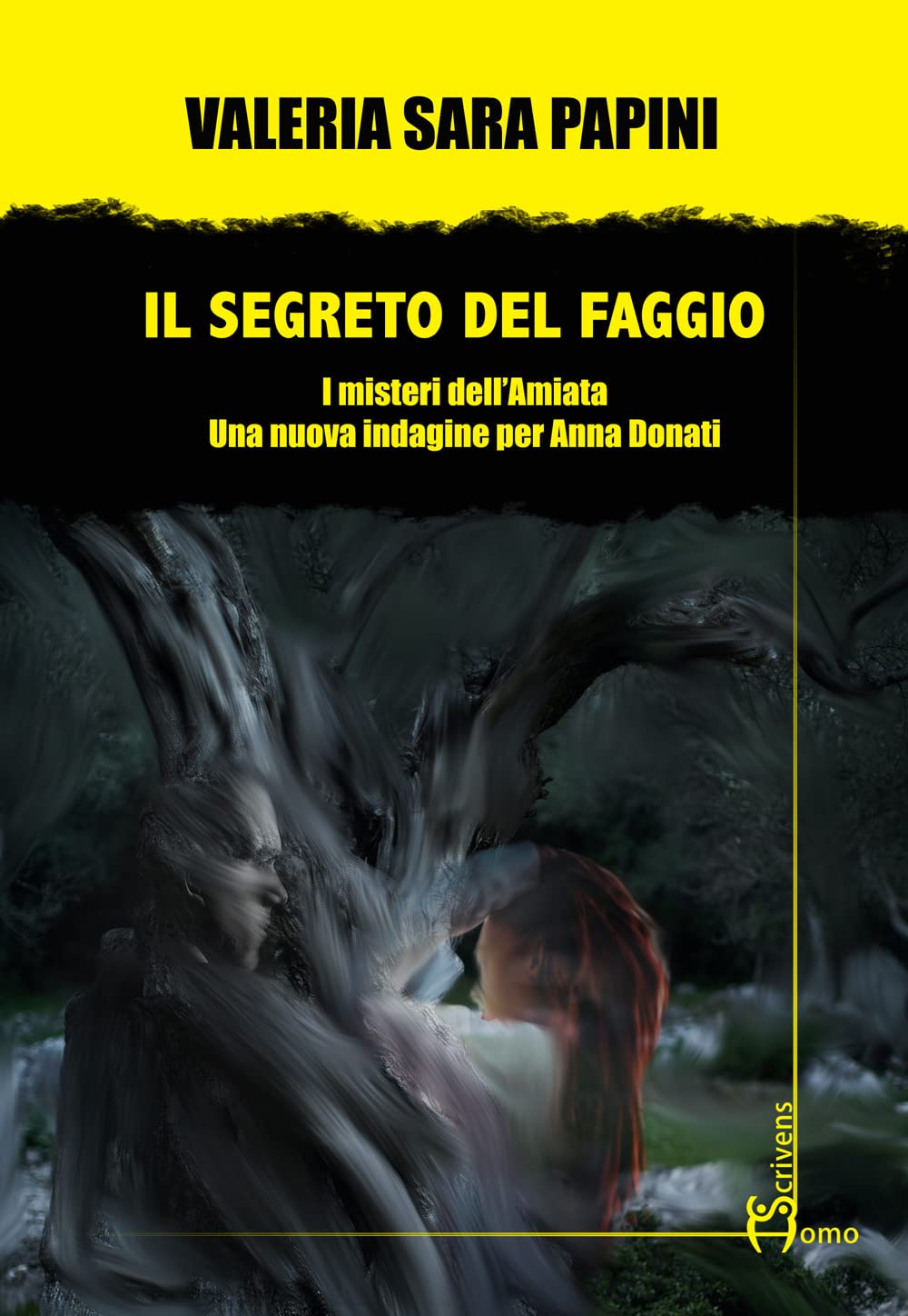 Il segreto del faggio. I misteri dell’Amiata. Una nuova indagine per Anna Donati book