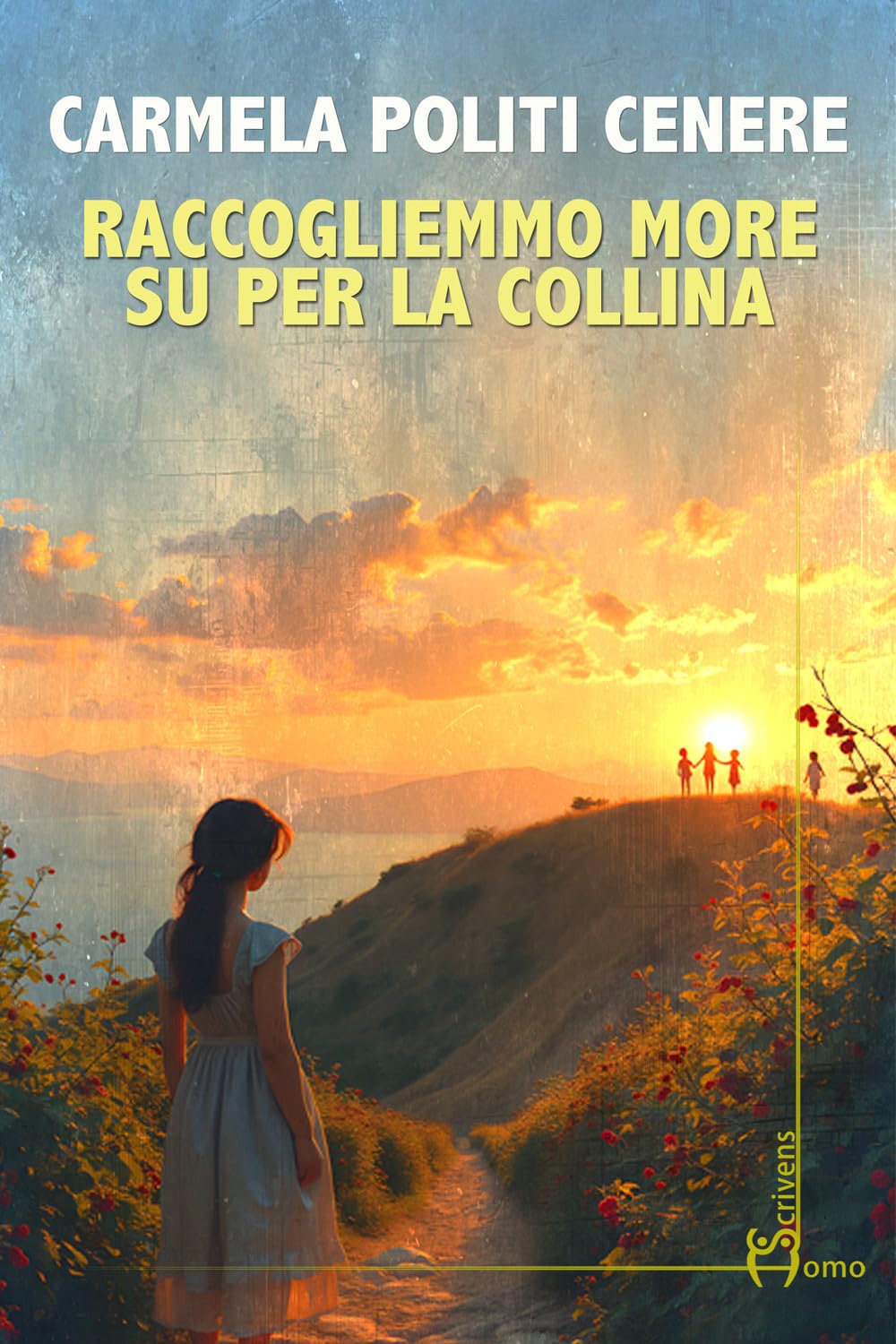 Raccogliemmo more su per la collina book