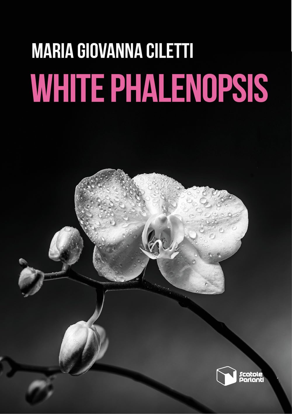 White Phalenopsis (Voci) Contemporary literature