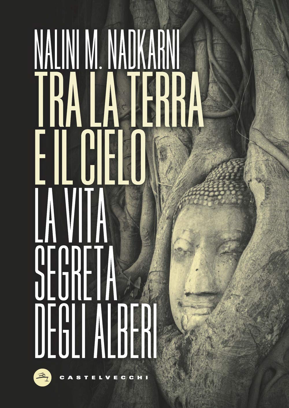 Tra la terra e il cielo: La vita segreta degli alberi book
