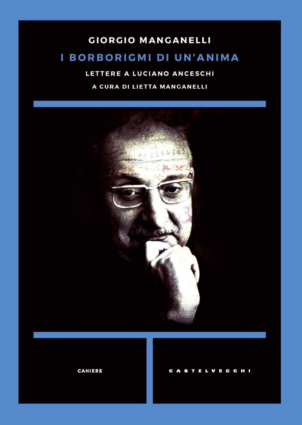 I borborigmi di un'anima: Lettere a Luciano Anceschi book