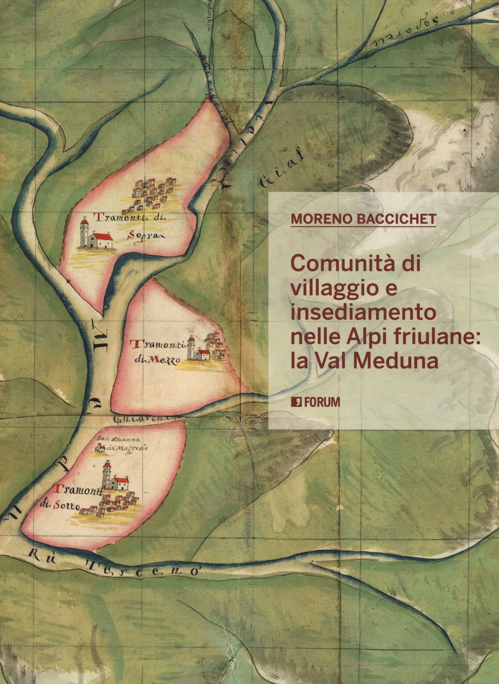 Comunità di villaggio e insediamento nelle Alpi friulane: la val Meduna book