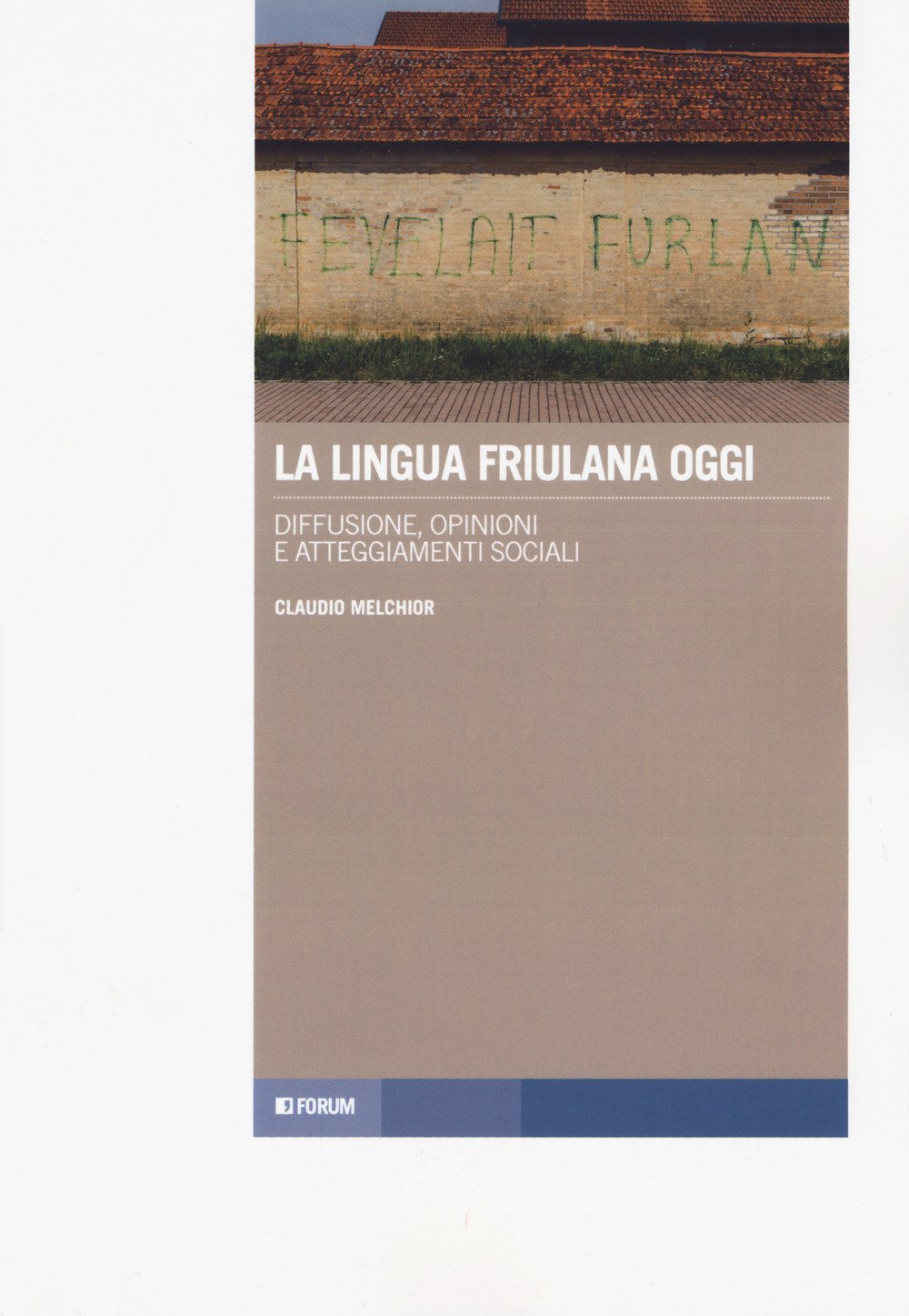 La lingua friulana oggi. Diffusione, opinioni e atteggiamenti sociali book