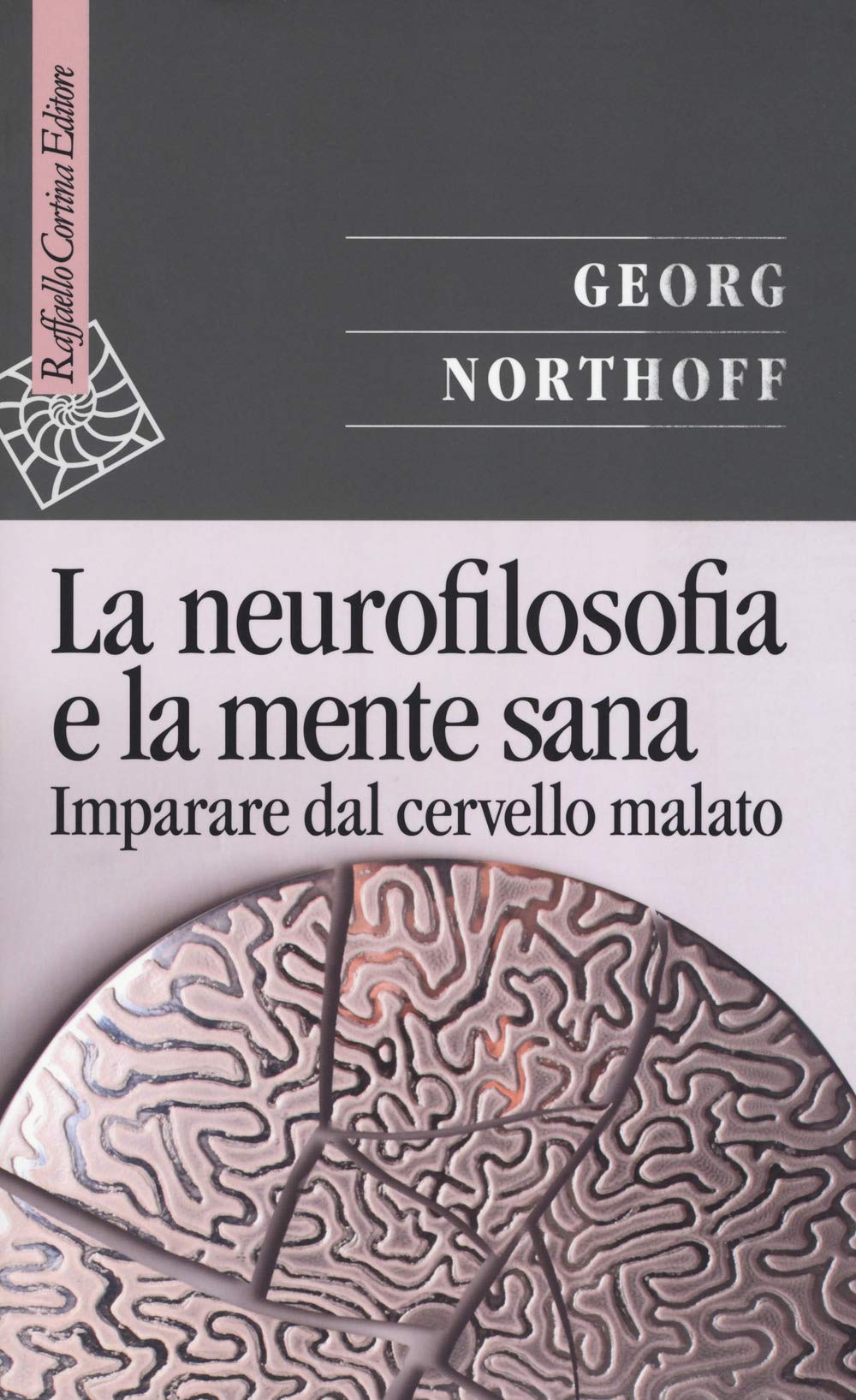 La neurofilosofia e la mente sana. Imparare dal cervello malato book