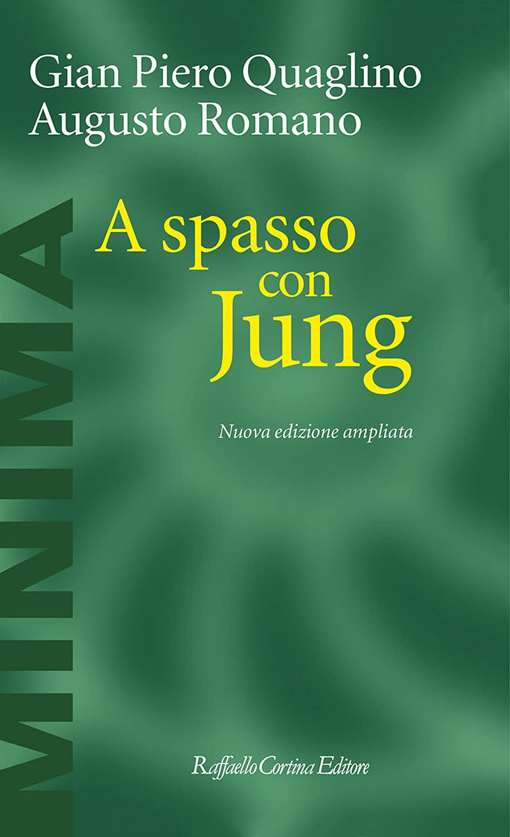 A spasso con Jung. Nuova ediz. book