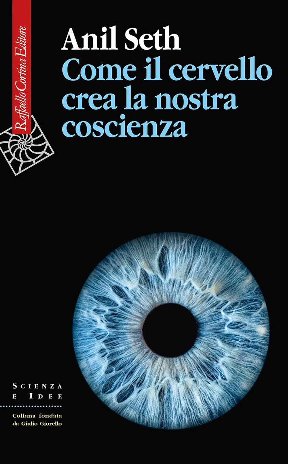 Come il cervello crea la nostra coscienza (Scienza e idee) Natural Sciences