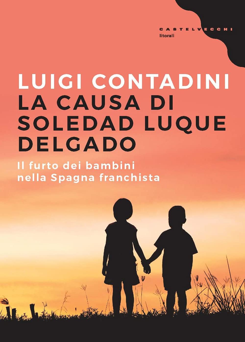 La causa di Soledad Luque Delgado. Il furto dei bambini nella Spagna franchista book