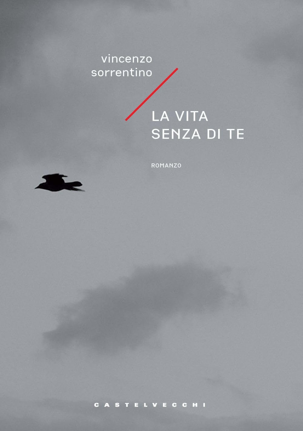 La vita senza di te book