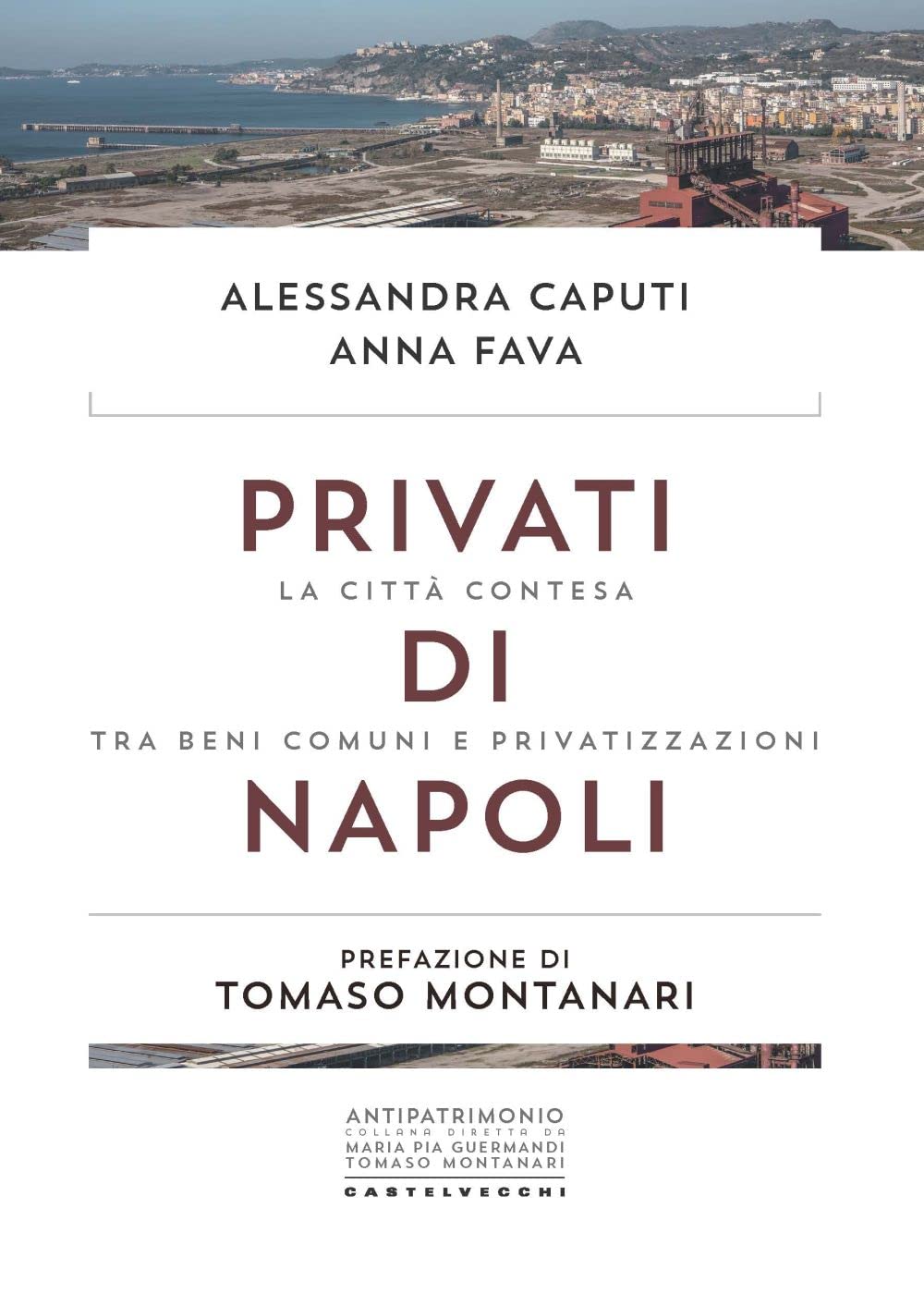 Privati di Napoli. La città contesa tra beni comuni e privatizzazioni book