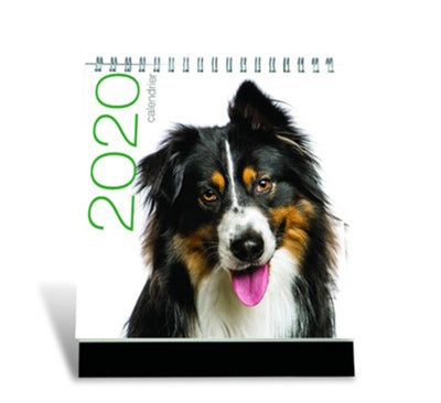 Product Image: Chiens 2020 : calendrier de table