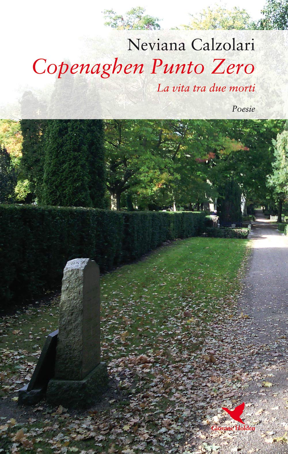 Copenaghen punto zero. La vita tra due morti (Versi di segale) Poetry