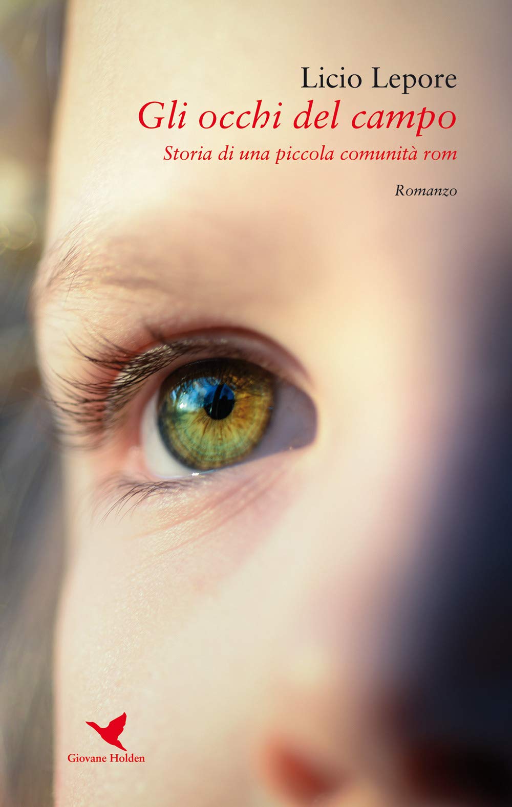 Gli occhi del campo. Storia di una piccola comunità rom (Battitore libero) Contemporary literature