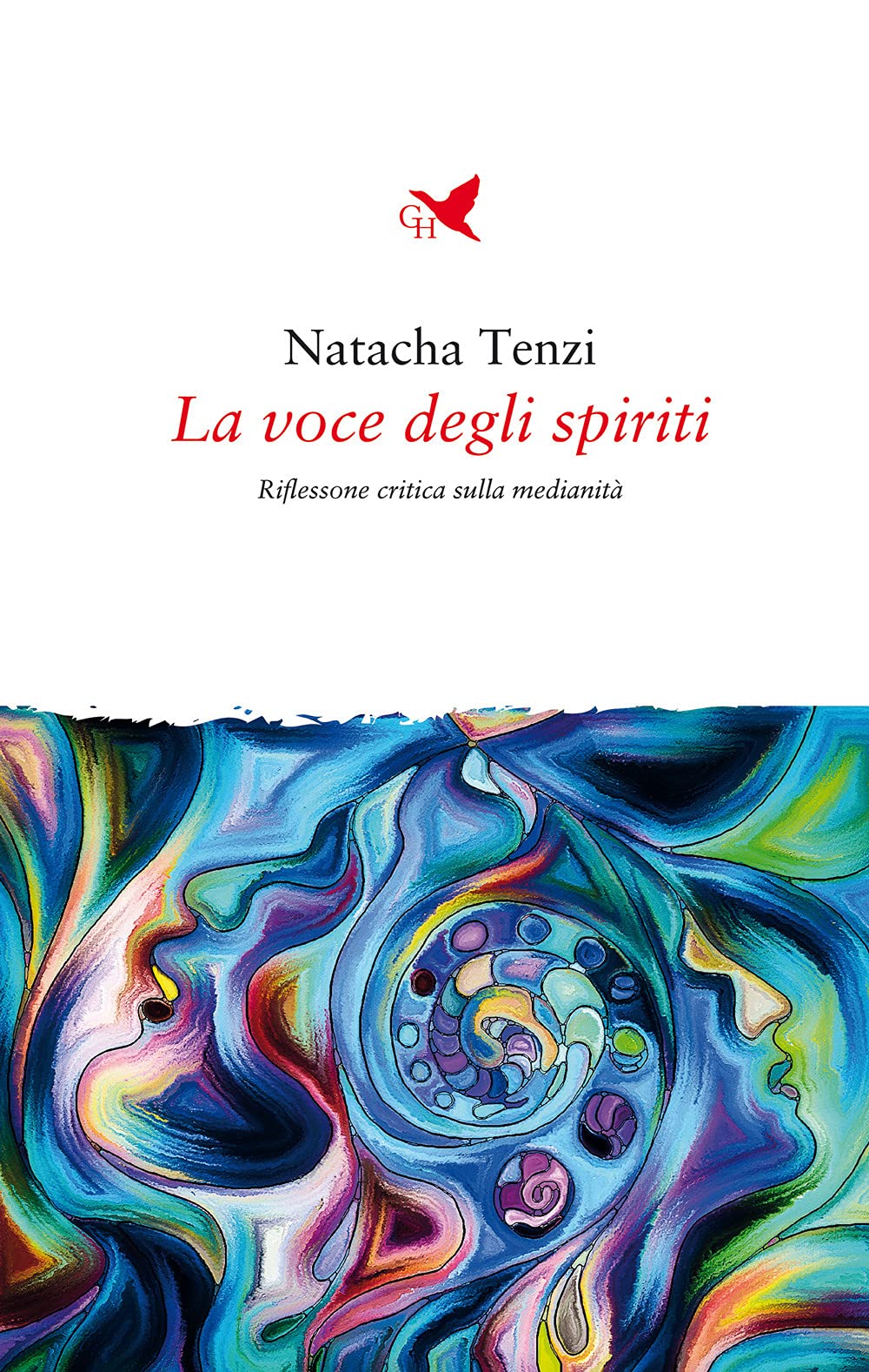 La voce degli spiriti book