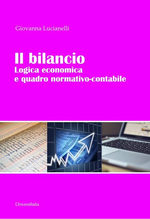 Il bilancio. Logica economica e quadro normativo-contabile book