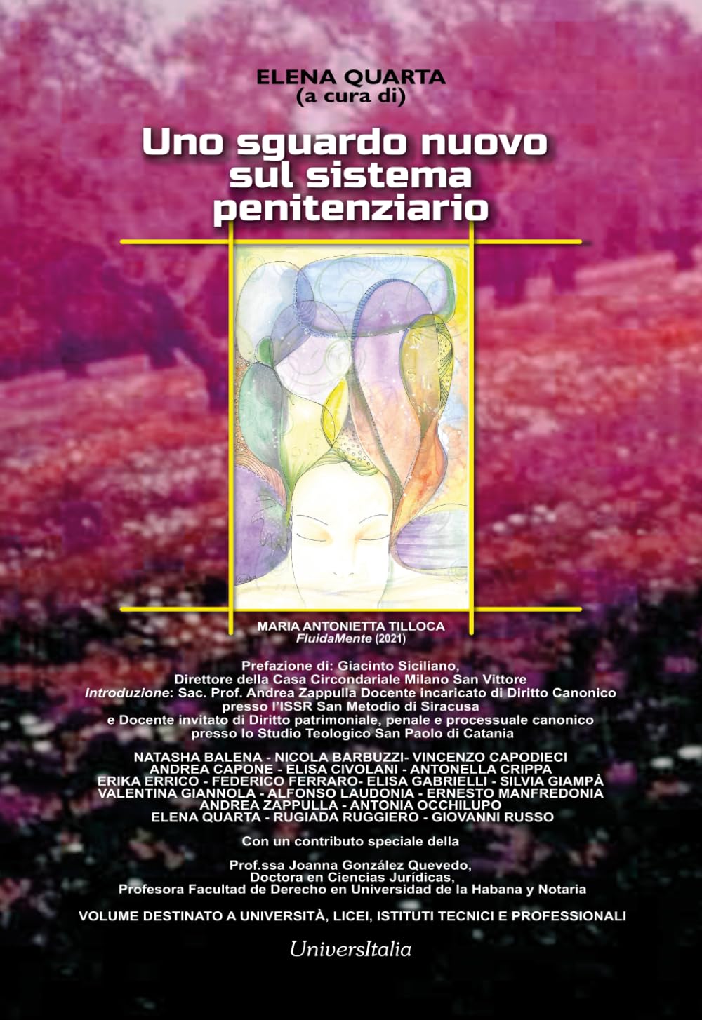 UNO SGUARDO NUOVO SUL SISTEMA PENITENZIARIO book