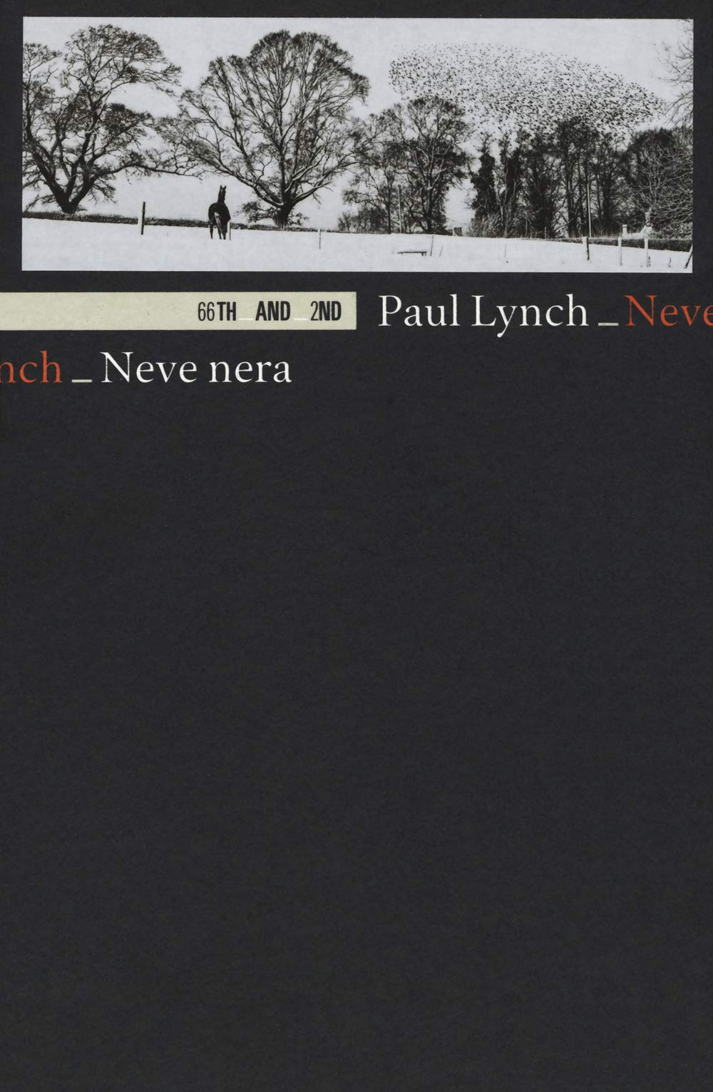 Neve nera (Bookclub, Band 29) Contemporary literature