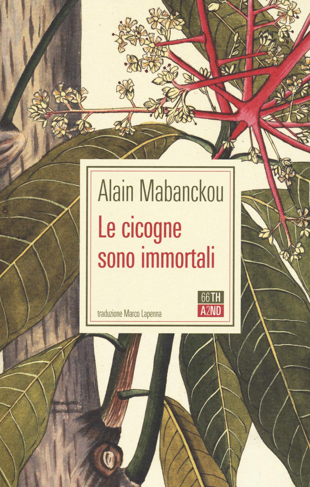 Le cicogne sono immortali book