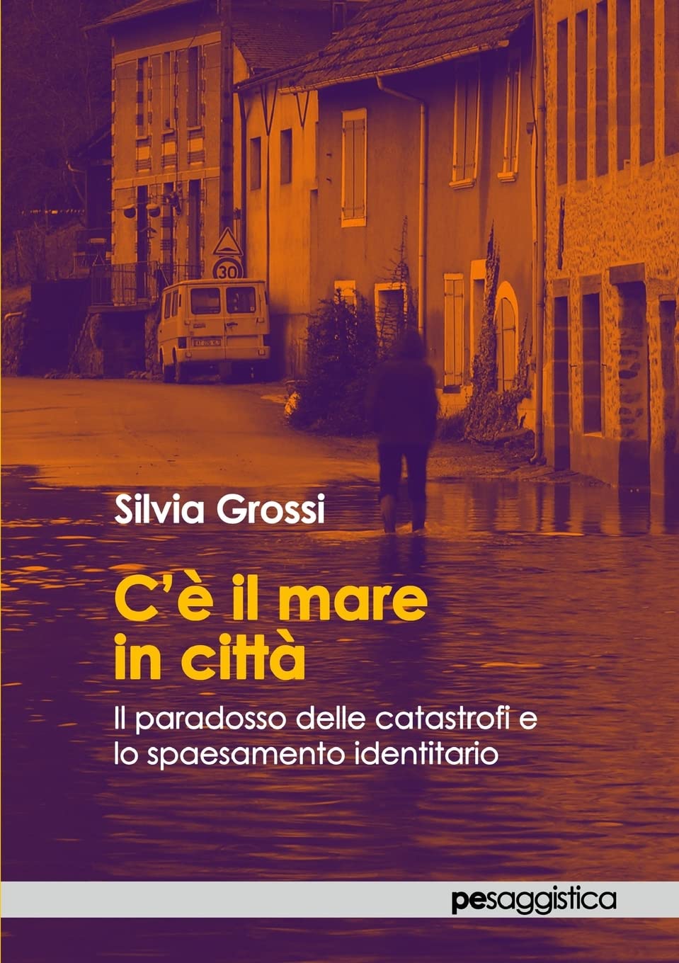 C'è il mare in città. Il paradosso delle catastrofi e lo spaesamento identitario Books
