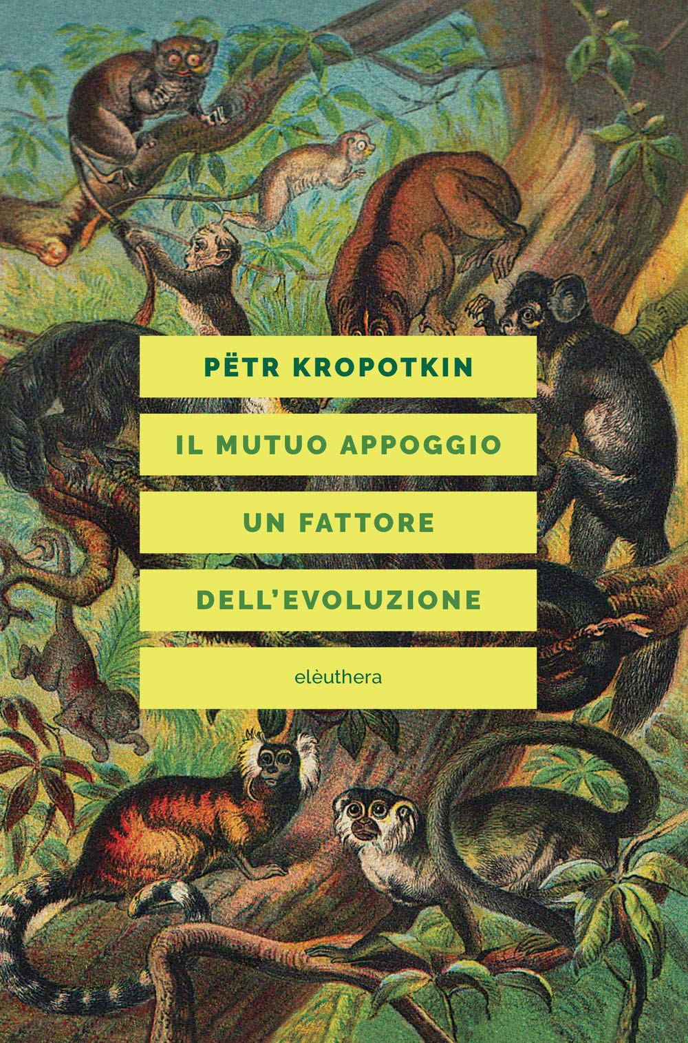 Il mutuo appoggio. Un fattore dell'evoluzione Natural Sciences