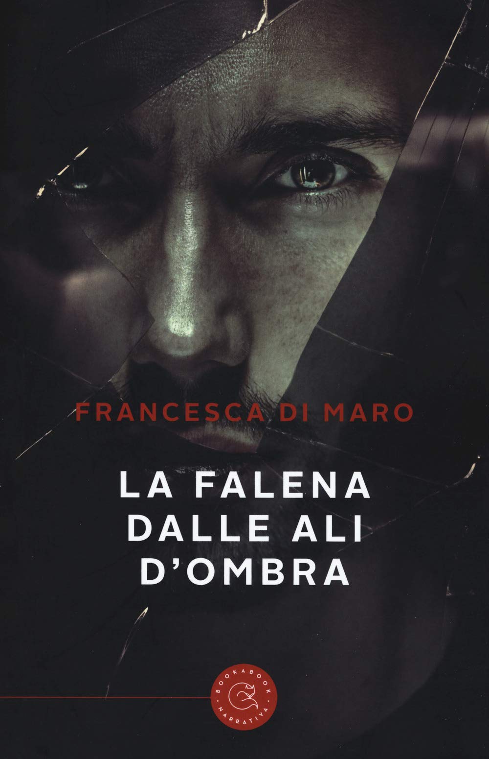 La falena dalle ali d'ombra book