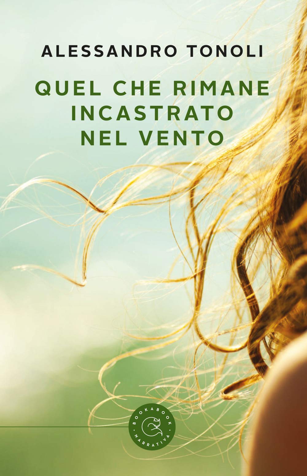 Quel che rimane incastrato nel vento book