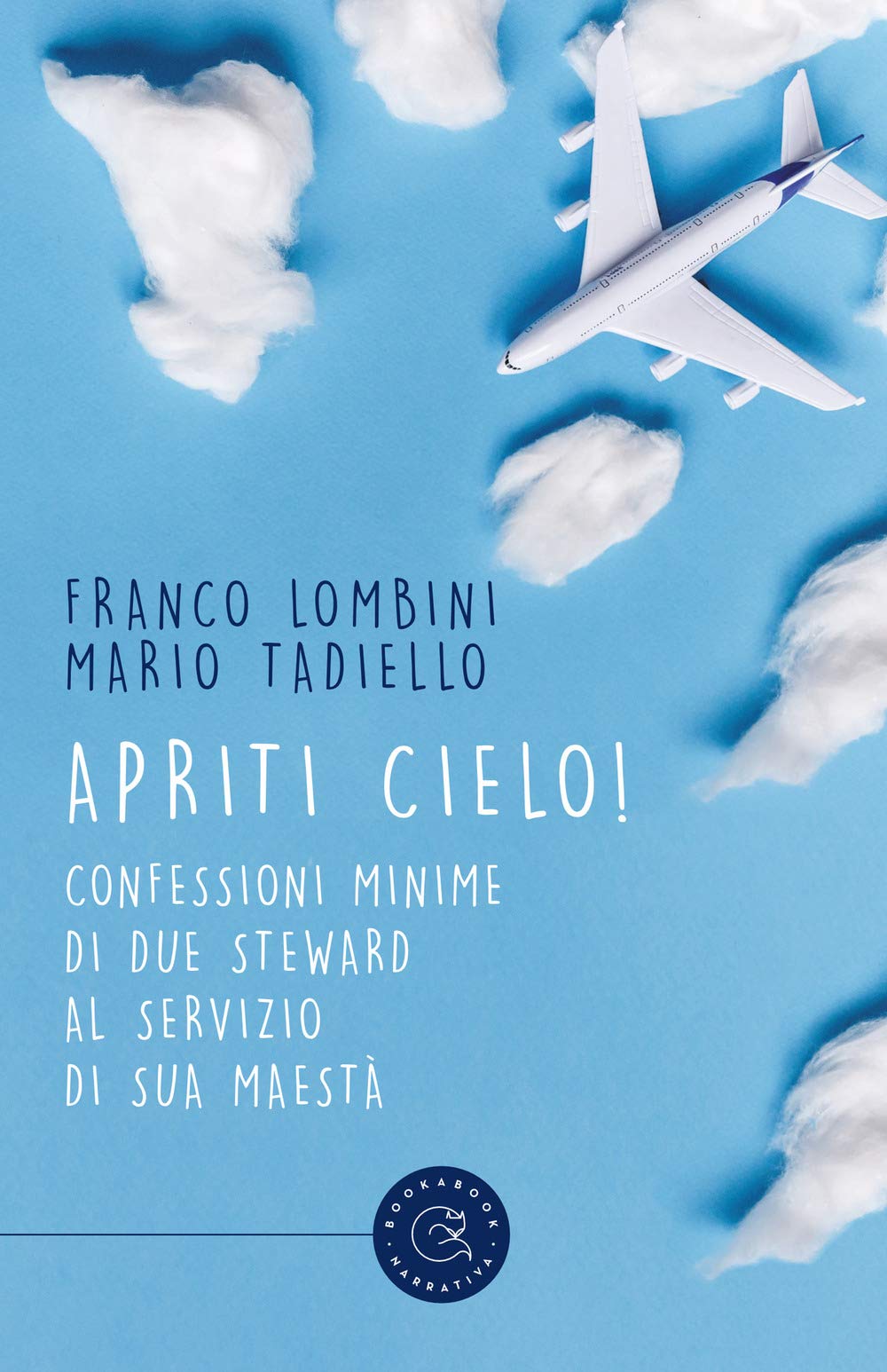 Apriti cielo! Confessioni minime di due steward al servizio di Sua Maestà book