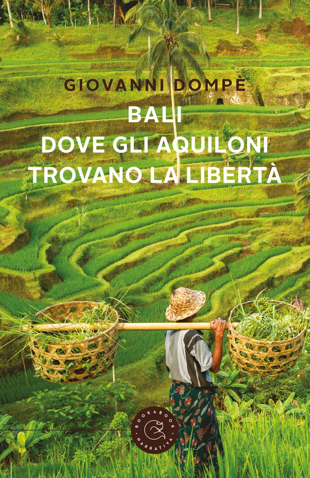 Bali. Dove gli aquiloni trovano la libertà book
