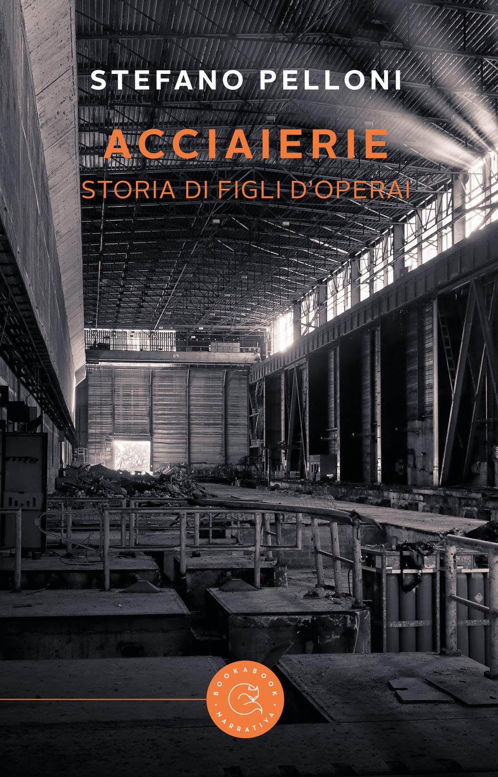 Acciaierie. Storia di figli d'operai book