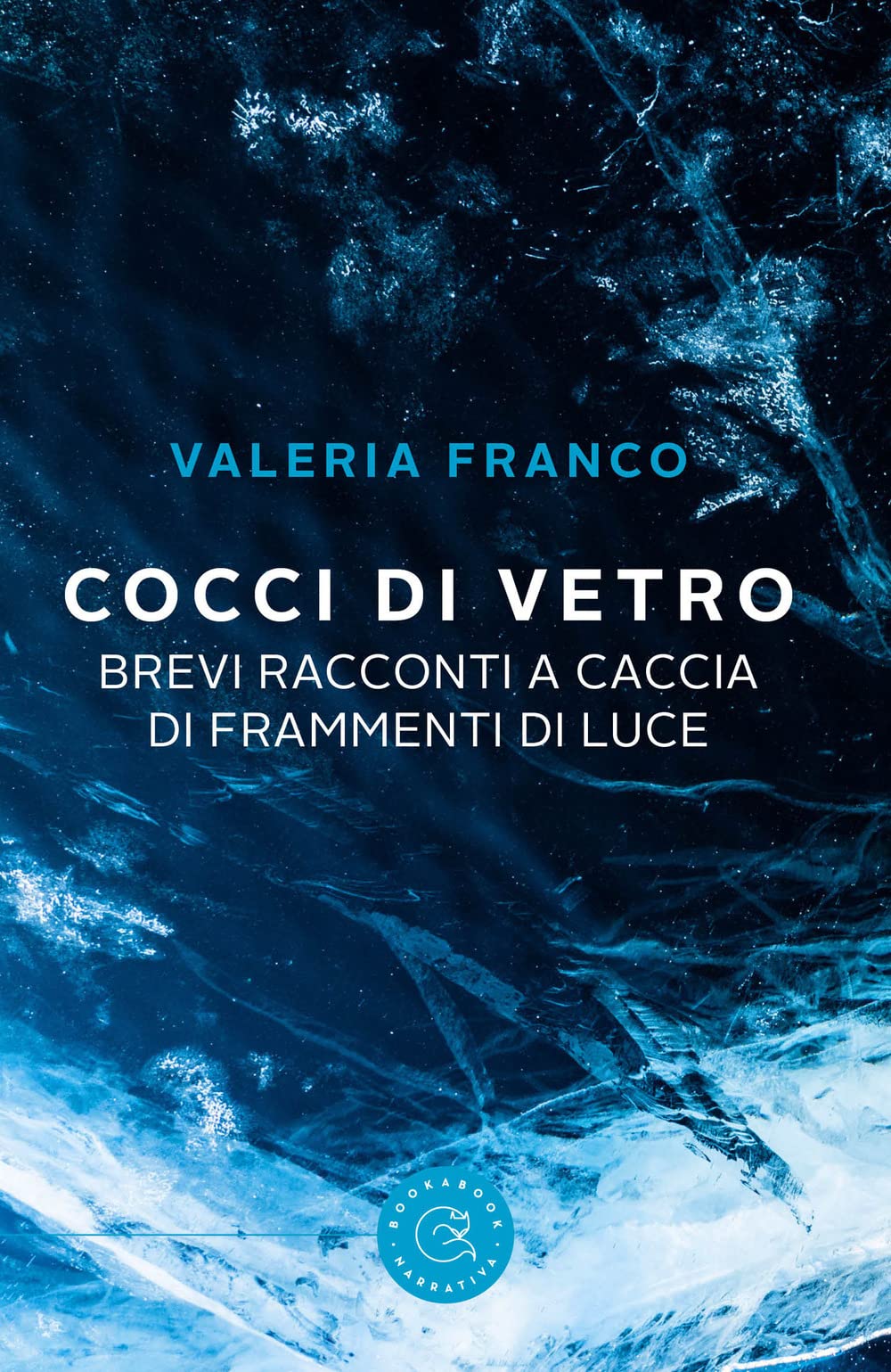 Cocci di vetro. Brevi racconti a caccia di frammenti di luce (Narrativa) Essays & Short Stories