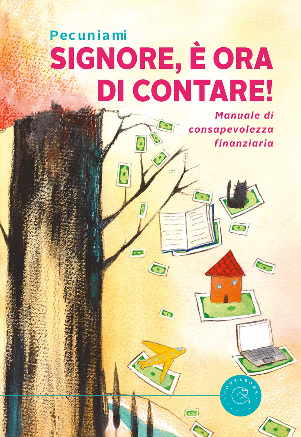 Signore, è ora di contare! Manuale di consapevolezza finanziaria book