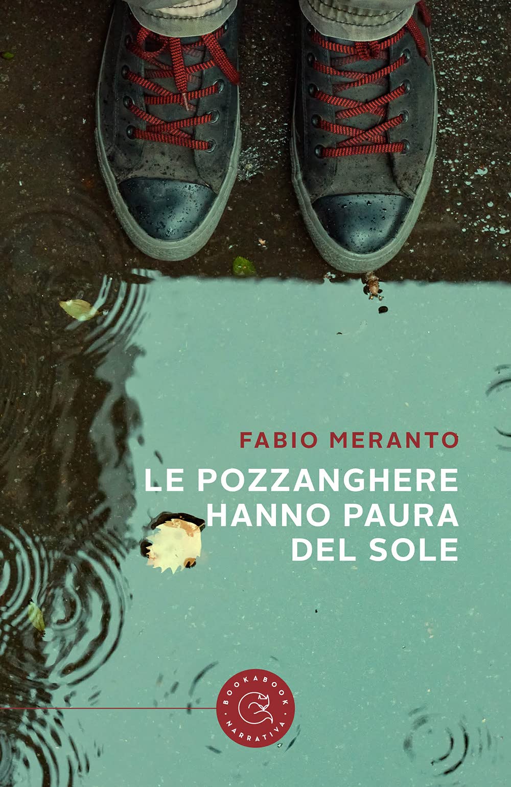 Le pozzanghere hanno paura del sole book