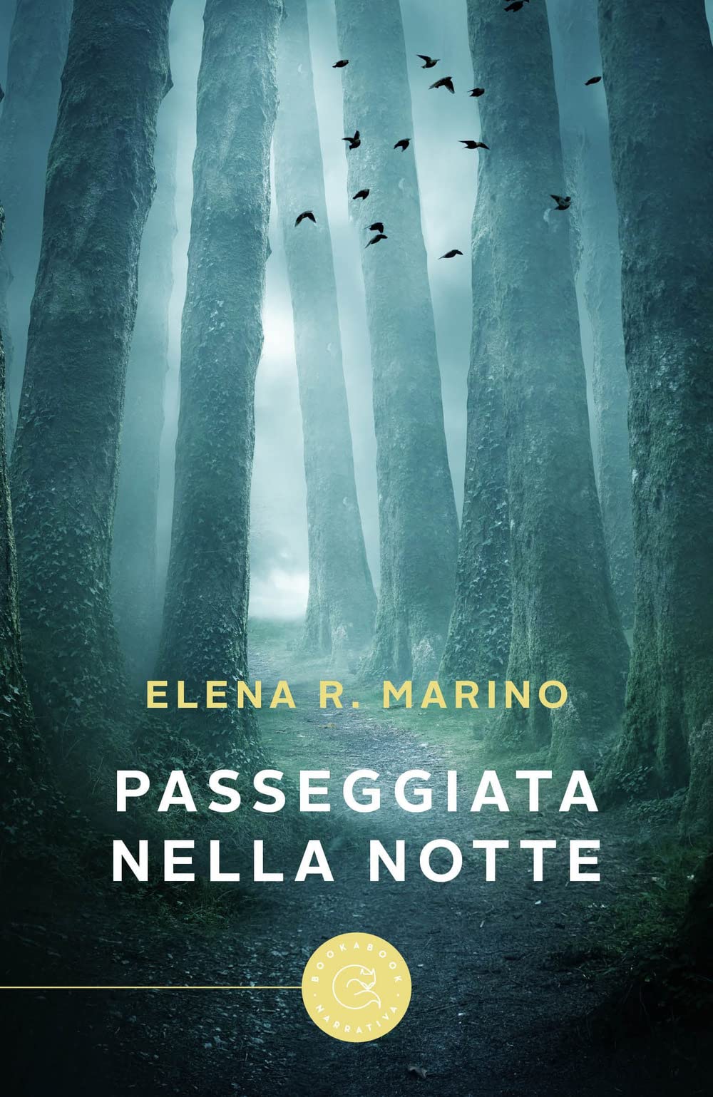 Passeggiata nella notte book