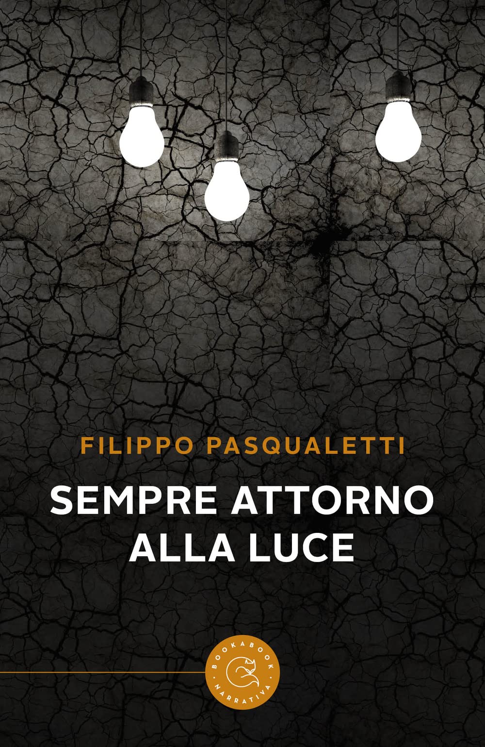 Sempre attorno alla luce book